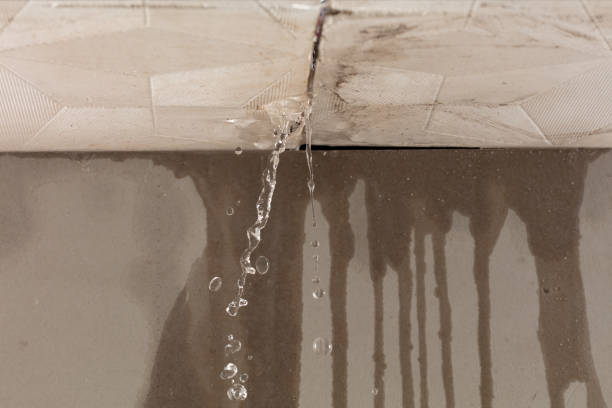 Professional Burst Pipe Cleanup technician working in Palmer, TN